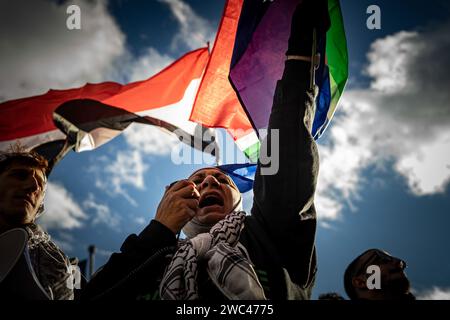 Arlington, Virginie, États-Unis. 13 janvier 2024. Des milliers de manifestants pro-palestiniens ont rempli les rues de Washington, district de Columbia, le 13 janvier 2024, pour exhorter les États-Unis à cesser de soutenir la campagne militaire israélienne à Gaza. La marche, qui était la deuxième du genre depuis le début de l'offensive israélienne en octobre 2023, était organisée par une coalition de groupes musulmans et anti-guerre. Les organisateurs ont affirmé que plus de 300 000 personnes de différents États et milieux ont participé au rassemblement, exigeant la libération de tous les otages à Gaza et des prisonniers politiques en Israël, et Banque D'Images