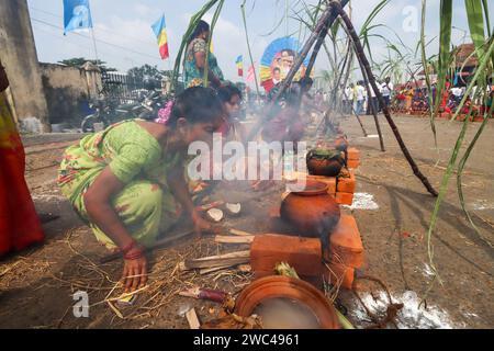 Chennai, Inde. 14 janvier 2024. A l'occasion du festival Pongal, toutes les femmes célèbrent avec égalité le Pongal en mettant Pongal au festival Samatwa Pongal qui s'est tenu au marché de Koyambedu, Chennai. Pongal également appelé Thai Pongal, est un festival de récolte de plusieurs jours célébré par les Tamouls du monde entier. Il est observé au mois de Thai selon le calendrier solaire tamoul et tombe généralement le 14 ou 15 janvier. Il est dédié au Dieu de la lumière Surya, également connu sous le nom de Dieu Soleil et correspond à Makar Sankranti, la fête de la moisson. Crédit : Seshadri SUKUMAR/Alamy Live News Banque D'Images