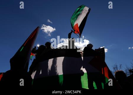 Washington, États-Unis. 14 janvier 2024. Des manifestants prennent part à une marche pro-palestinienne à Freedom Plaza à Washington, DC, États-Unis, le 13 janvier 2024. Crédit : Aaron Schwartz/Xinhua/Alamy Live News Banque D'Images