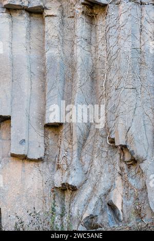 Colonnes de lave verticales, ancien flux de lave, colonne de basalte, forme hexagonale, Sant Joan les Fonts, Garrotxa, Catalogne, Espagne Banque D'Images