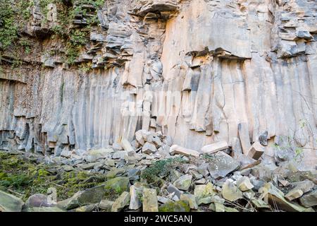 Colonnes de lave verticales, ancien flux de lave, colonne de basalte, forme hexagonale, Sant Joan les Fonts, Garrotxa, Catalogne, Espagne Banque D'Images