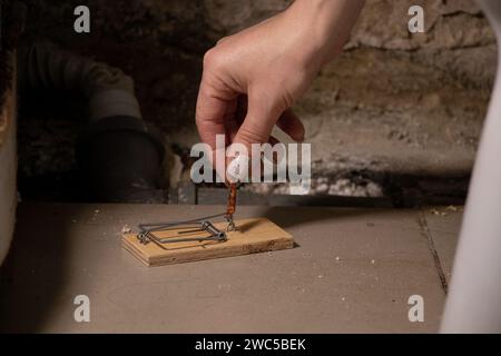 Un piège à souris avec un morceau de saucisse se tient sur le sol dans la salle de bain dans une vieille maison sale, et la main d'une femme pose la saucisse sur le piège à souris Banque D'Images