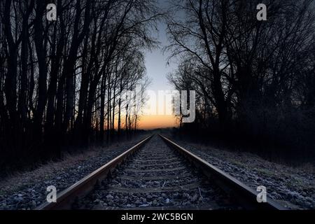 Voie ferrée unique à travers la forêt à l'aube en hiver Banque D'Images