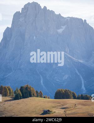 Petit chalet dans le paysage automnal avec une énorme montagne rocheuse en toile de fond, verticale, Dolomites Banque D'Images