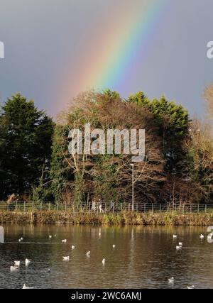 Lurgan Park, Lurgan, comté d'Armagh, Irlande du Nord, Royaume-Uni. 14 janvier 2024. Météo britannique - un dimanche matin froid avec soleil et averses au parc Lurgan. Un arc-en-ciel au-dessus du lac du parc. Crédit : CAZIMB/Alamy Live News. Banque D'Images