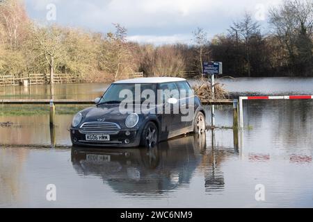 Wallingford, Oxfordshire, Royaume-Uni. 14 janvier 2024. La Tamise à Wallingford, Oxfordshire, a éclaté cette semaine et inondé le parking Riverside. Certaines voitures ont été totalement submergées dans les eaux de crue. Un polo mini et VW attendent la récupération. Crédit : Maureen McLean/Alamy Live News Banque D'Images