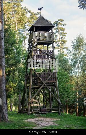 Tour d'observation en bois dans la forêt avec une girouette en forme de coq au sommet. Le point d'observation de Hunter dans la forêt en Europe. Banque D'Images