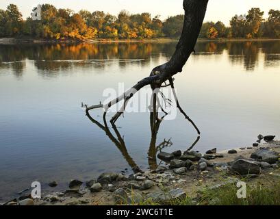 Narew river à Modlin. Nowy Dwor Mazowiecki. Pologne Banque D'Images