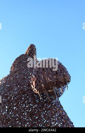 Dunbear, une sculpture en acier de 5 mètres par Andy Scott, créée en hommage au naturaliste pionnier John Muir (1838-1914), Dunbar, Écosse Banque D'Images