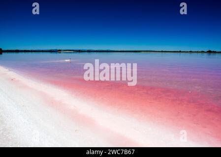 Plage de sel et eau rose près d'Arles, France Banque D'Images