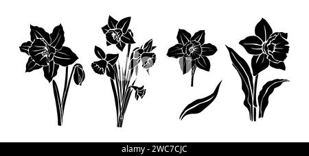 Ensemble de silhouettes noires de fleurs de jonquille. Illustration de Vecteur