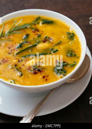 Maison fait de haricots blancs toscans, soupe de Kale Banque D'Images