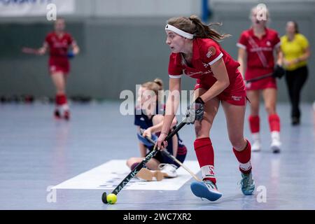 Mannheim, Deutschland. 14 janvier 2024. Johanna Mühl (TSVMH, 8), Am ball, Aktion, action, Spielszene, 14.01.2024, Mannheim (Deutschland), Hallenhockey, 1. Bundesliga Süd, Damen, Mannheimer HC - TSV Mannheim crédit : dpa/Alamy Live News Banque D'Images