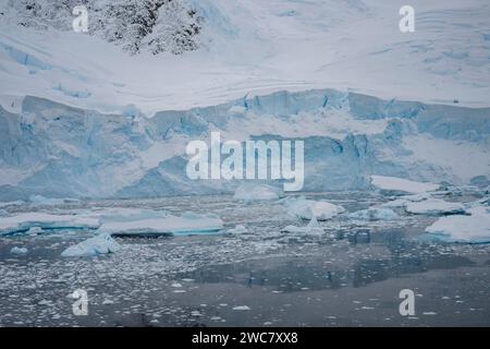 Neko Harbor, Antarctique, vue sur le port et le rivage, petits icebergs, et montagne couverte de neige, glace remplie et flottant, glaciers vêlant Banque D'Images