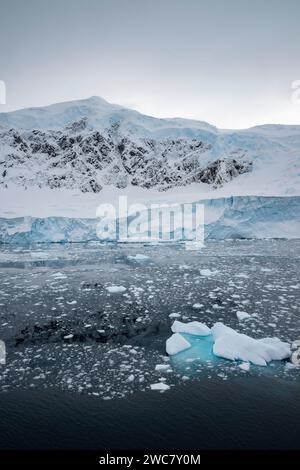 Neko Harbor, Antarctique, vue sur le port et le rivage, petits icebergs, et montagne couverte de neige, glace remplie et flottant, glaciers vêlant Banque D'Images