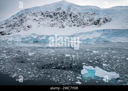 Neko Harbor, Antarctique, vue sur le port et le rivage, petits icebergs, et montagne couverte de neige, glace remplie et flottant, glaciers vêlant Banque D'Images