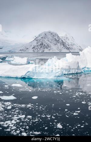 Neko Harbor, Antarctique, vue sur le port et le rivage, petits icebergs, et montagne couverte de neige, glace remplie et flottant, glaciers vêlant Banque D'Images