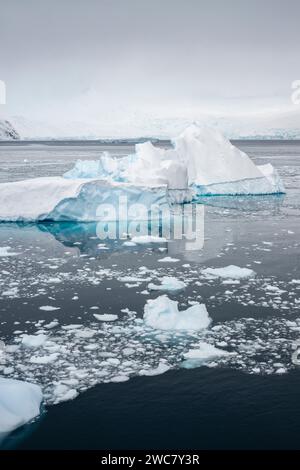 Neko Harbor, Antarctique, vue sur le port et le rivage, petits icebergs, et montagne couverte de neige, glace remplie et flottant, glaciers vêlant Banque D'Images