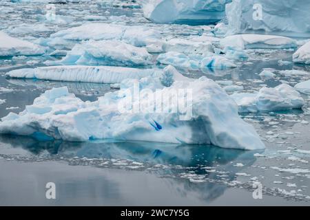 Port de Neko, Antarctique, vue sur le port et le rivage, petits icebergs, et montagne couverte de neige, glaciers vêlant, glace remplie, et flottant Banque D'Images