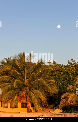 Lune sur une plage tropicale Banque D'Images