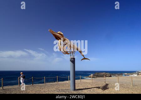 Squelette de baleine conservé (baleine à bec de Cuvier - ziphius caviostris) exposé à El Cotillo, Fuerteventura, Îles Canaries, Espagne. Prise en novembre 2023 Banque D'Images