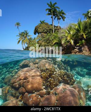 Rivage de mer tropicale avec un récif de corail sous-marin, mer des Caraïbes, vue divisée à moitié sur et sous la surface de l'eau, scène naturelle, Amérique centrale, Panama Banque D'Images