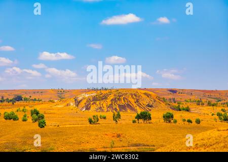 Paysage typique de Madagascar - rizières vertes et jaunes en terrasse sur de petites collines dans la région près de Vohiposa le long de la route principale. herbe verte et och lumineux Banque D'Images