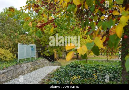 Kromsdorf, Allemagne 10-31-2023 Parc et jardin avec infos et végétation colorée en automne Banque D'Images