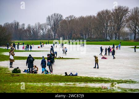 Die Rheinwiesen BEI Düsseldorf-Niederkassel, Eisflächen nach Hochwasser, durch aufgestiegenes Grundwasser hinter dem Rheindeich, Wintervergnügen, Eislaufen, NRW, Deutschland, gefrorene Rheinwiesen *** les prairies du Rhin près de Düsseldorf Niederkassel, patinoire après les inondations, en raison de la montée des eaux souterraines derrière la digue du Rhin, amusement hivernal, patinage sur glace, NRW, Allemagne, prairies rhénanes gelées Banque D'Images