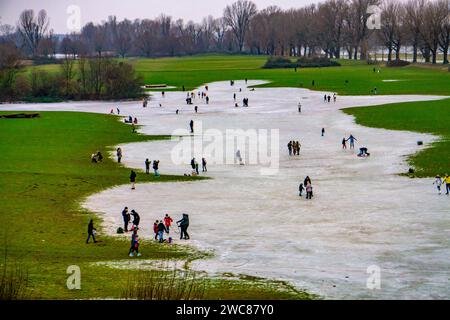 Die Rheinwiesen BEI Düsseldorf-Niederkassel, Eisflächen nach Hochwasser, durch aufgestiegenes Grundwasser hinter dem Rheindeich, Wintervergnügen, Eislaufen, NRW, Deutschland, gefrorene Rheinwiesen *** les prairies du Rhin près de Düsseldorf Niederkassel, patinoire après les inondations, en raison de la montée des eaux souterraines derrière la digue du Rhin, amusement hivernal, patinage sur glace, NRW, Allemagne, prairies rhénanes gelées Banque D'Images