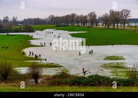 Die Rheinwiesen BEI Düsseldorf-Niederkassel, Eisflächen nach Hochwasser, durch aufgestiegenes Grundwasser hinter dem Rheindeich, Wintervergnügen, Eislaufen, NRW, Deutschland, gefrorene Rheinwiesen *** les prairies du Rhin près de Düsseldorf Niederkassel, patinoire après les inondations, en raison de la montée des eaux souterraines derrière la digue du Rhin, amusement hivernal, patinage sur glace, NRW, Allemagne, prairies rhénanes gelées Banque D'Images