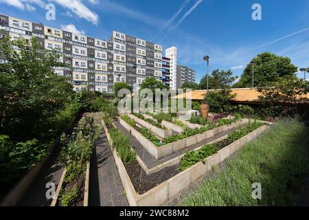 Doddington & Rollo Community Roof Garden, Battersea, Londres, Royaume-Uni Banque D'Images