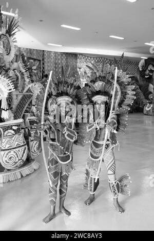 Parintins, Brésil - 06 décembre 2015 : danseurs de carnaval brésilien samba Banque D'Images