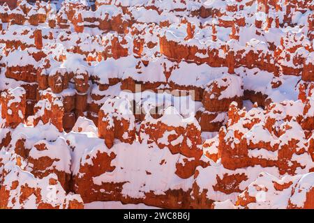 Hoodoos enneigés dans le parc national de Bryce Canyon, Utah Banque D'Images