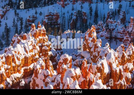 Hoodoos enneigés dans le parc national de Bryce Canyon, Utah Banque D'Images