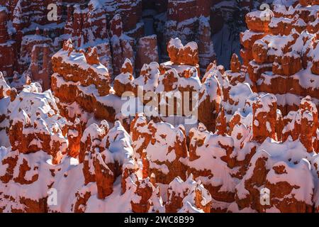 Hoodoos enneigés dans le parc national de Bryce Canyon, Utah Banque D'Images