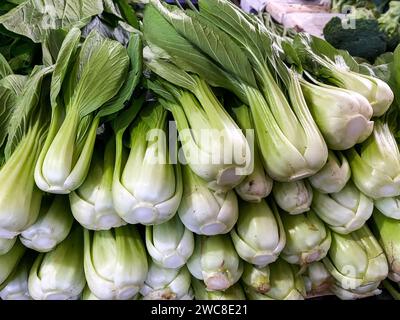 Bouquet de bok choy frais exposé au marché fermier. Banque D'Images