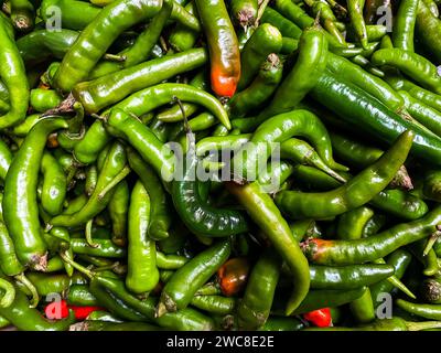 Fond de fond de texture de piments piments verts. Vue rapprochée avec espace de copie pour la conception Banque D'Images