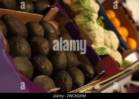 Beaucoup d'avocats frais et de choux-fleurs dans des récipients au marché, closeup Banque D'Images