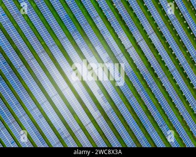 Ferme solaire et lumière du soleil. Énergie solaire pour l'énergie verte. Énergies renouvelables durables. Centrale photovoltaïque ou parc solaire. Installation du panneau solaire Banque D'Images