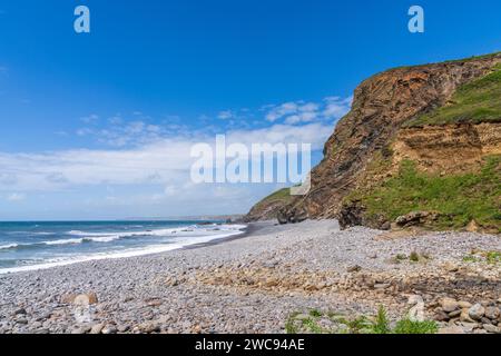 Les falaises et la plage de Millook Haven, Cornouailles, Angleterre, Royaume-Uni Banque D'Images