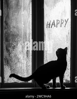 Jeune chat regardant par la fenêtre brumeuse de maison rurale vintage, debout sur le rebord de la fenêtre, curieux de la main heureuse inscryption écrite. Matin froid Banque D'Images