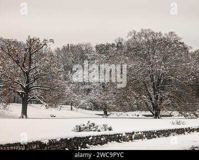 Un paysage hivernal pittoresque avec des arbres enneigés dans un parc Banque D'Images