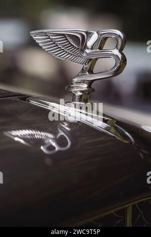 Como, Italie - 22 mai 2022: Gros plan illustration de la statuette du logo Bentley sur une voiture. Banque D'Images