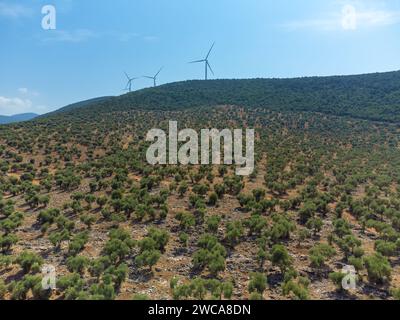 Belle vue drone des arbres verts et des éoliennes au sommet d'une montagne par une journée ensoleillée, Turquie. Banque D'Images