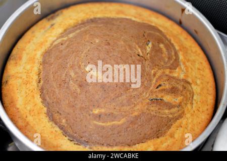 Gâteau éponge marbré au tigre, composants de farine, beurre, huile, poudre de vanille, cacao, sucre, lait, œufs et poudre à lever, sueur spongieux à rayures Banque D'Images