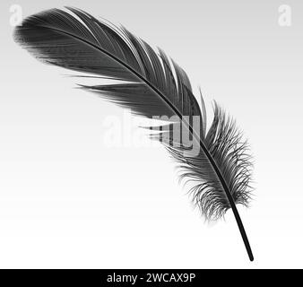 Illustration vectorielle réaliste de plume noire unique sur fond blanc. Elément de design 3D corbeau foncé. Image de la partie plumage d'oiseau mou Illustration de Vecteur