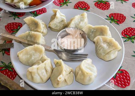 Gyoza ou boulettes grignotent avec sauce. Gros plan de boulettes fraîches bouillies. Cuisine traditionnelle asiatique. Mise au point sélective, personne, vue de dessus Banque D'Images