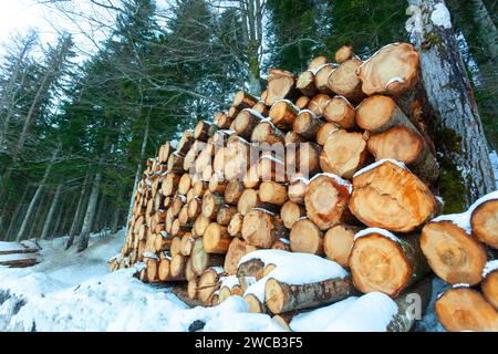 Bûches de bois coupées et empilées dans les montagnes sous la neige. Banque D'Images