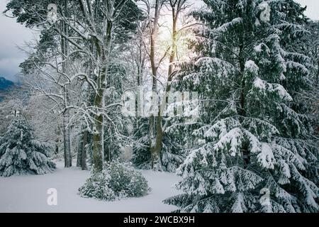 DE - BAVIÈRE : hiver le long de la rivière Isar (Isartal), Oberbayern, Allemagne par Edmund Nagele FRPS Banque D'Images